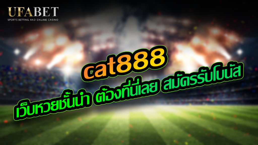 cat888